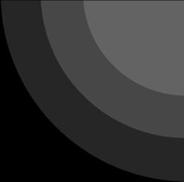 Banner Logo