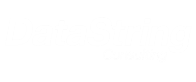 DataString Consulting Company Logo