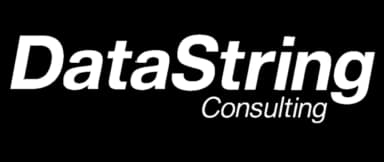 DataString Consulting Company Logo